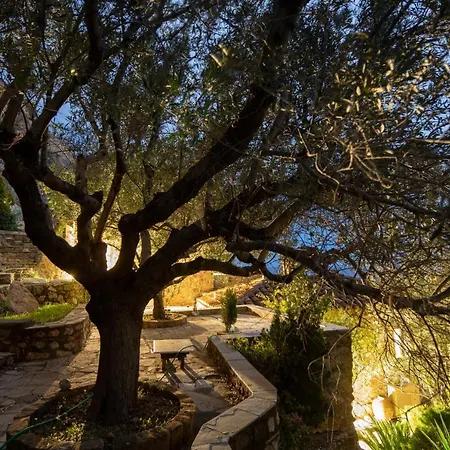 Victoria's House In Castle *